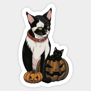 Spooky Halloween Night - Black Cat and Kid Cat in a Scary Pumpkin Sticker